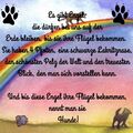 Wir vermissen Dich unendlich unser kleiner Engel  ????????