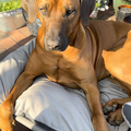 Mein großer Schatz in ewiger Liebe ❤️Mama 
