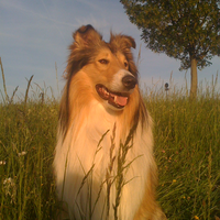 Aiko
15.09.2009- 26.09.2019