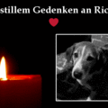 Ricky ❤ für immer im ❤ von Marco und Corinna 