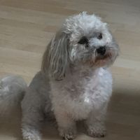 Willi wartet auf ..... wahrscheinlich Futter