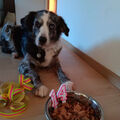 14. Geburtstag ????