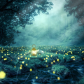 Bildquelle: Pixabay/Yuri B