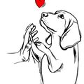 ♥️♥️