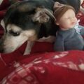 Meine kleine Wölfin ????????