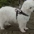 Heute sehe ich wieder aus wie ein Baby Alpaka 