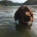 ...unsere kleine Schwimmnudel ...