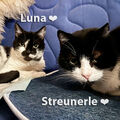 Luna, gest. 22.03.2023, Streunerle, gest. 09.02.2023