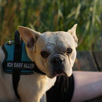 Frieda unsere Diva