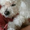 Mein kleiner Engel ⭐❤✨