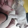 Gizmo macht Blödsinn so kennst du ihn 