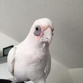 Du bist und bleibst unser Engel❤️