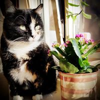 See you again.. someday, at the other end of the Rainbow Bridge.