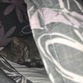 Deine Plätze bleiben einfach leer????????du fehlst mir soo ?????