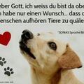 ❤ 