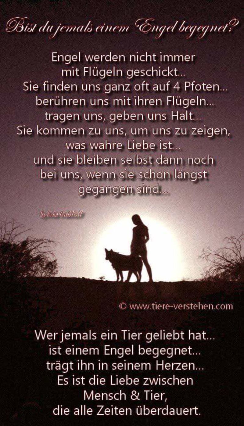 Download Zitate tiere hoeren unser herz wenn es fluestert For iPhone