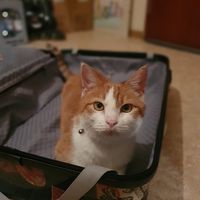 Komm nimm mich doch mit in den Urlaub, bitteeee ????