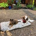 Lina mit ihren Freund Faro 