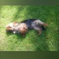 Mein kleine Schatz 