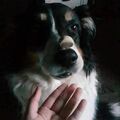 Mein Mädchen. Ich vermisse dich unendlich. 