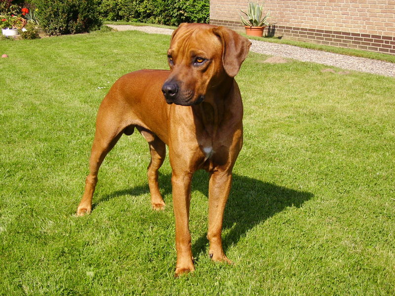 Pinky Mein Kleiner Engel Ich Werde Dich Nie Vergessen Наиболее актуальным free pinky ebony videos from за все время. ich werde dich nie vergessen