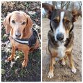 Finja & Shadow