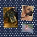 Meine ???? 