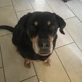 Unsere zauberhafte Finja wäre heute 12 Jahre alt geworden 