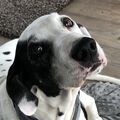 Neo schmerzlich vermisst 