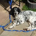 Relaxen im Sonnenschein 