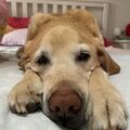 Murphy 05.02.2007 - 17.02.2022 