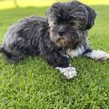 unsere kleine Tessi