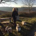 Von l. nach r. Balou +30.04.2018,  Missy, Hippo + 06.02.2018