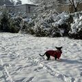 Run free my sweetest little girl 