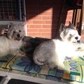 Lili und Lasse