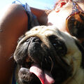 du warst der beste Hundebruder der Welt!!!