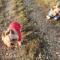 Walkies in the sun, 7 years ago