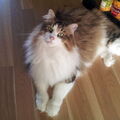Immer alles im Blick