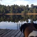Unser kleiner Genießer - auch Dir hat der See gefallen