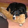 KUSCHELMAUS!