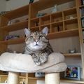 Mein Sonnenschein ♥️