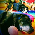 Balou & Jordi ...immer bei uns 