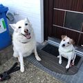 Best Friends for ever❤️❤️