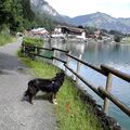 Im Allgäu