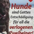 Ruhe in Frieden Hulk 