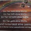Viel Kraft!