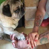 Wir 3 gemeinsam