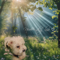 ❤️Küsschen für Snoopy ❤️