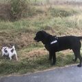 Freddy und Balou nehmen dich in ihrer Mitte auf ❤️ ????