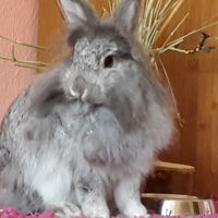 Unsere frau Perle